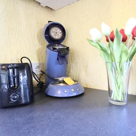 Hébergement de vacances La Pomme De Pin Fraiture